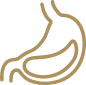 Ícone de Gastroenterologia